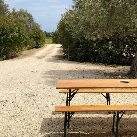 L'uliveto Sul Mare - Scirocco *