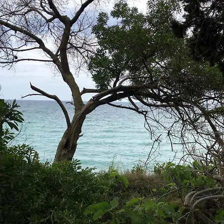 L'uliveto Sul Mare - Scirocco Holiday home